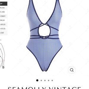 Blue Gingham One-Piece Swimsuit